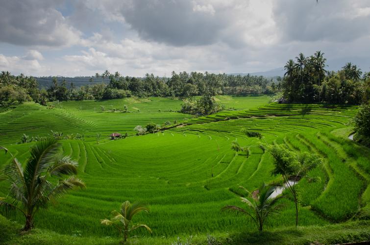 Top 10 Kerala Travel Tips You Need to Know Before Your Trip