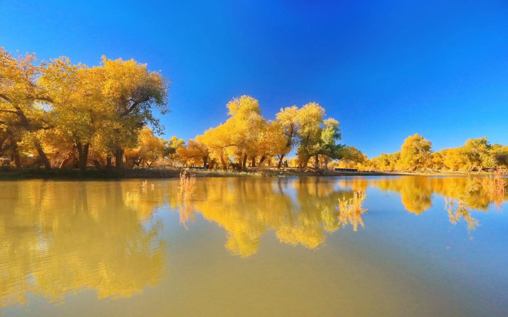 The Power of Cultural Diversity Symbols: Understanding Their